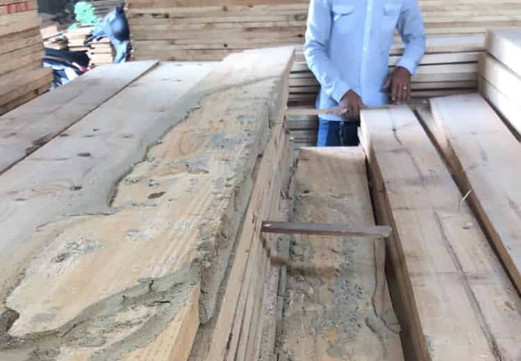 Diệt mối tận gốc xưởng gỗ Vĩnh Thái Nha Trang - diệt mối Nha Trang