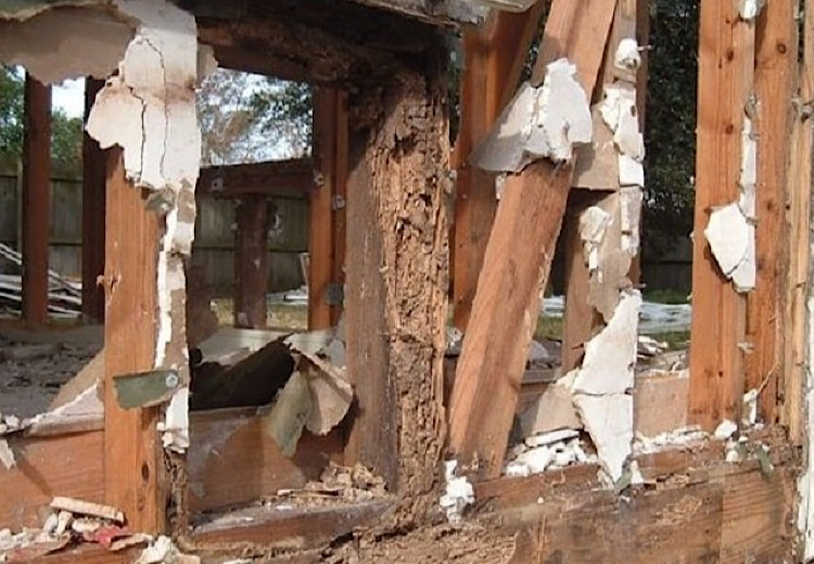 Tác hại của mối đến các kiến trúc bằng gỗ