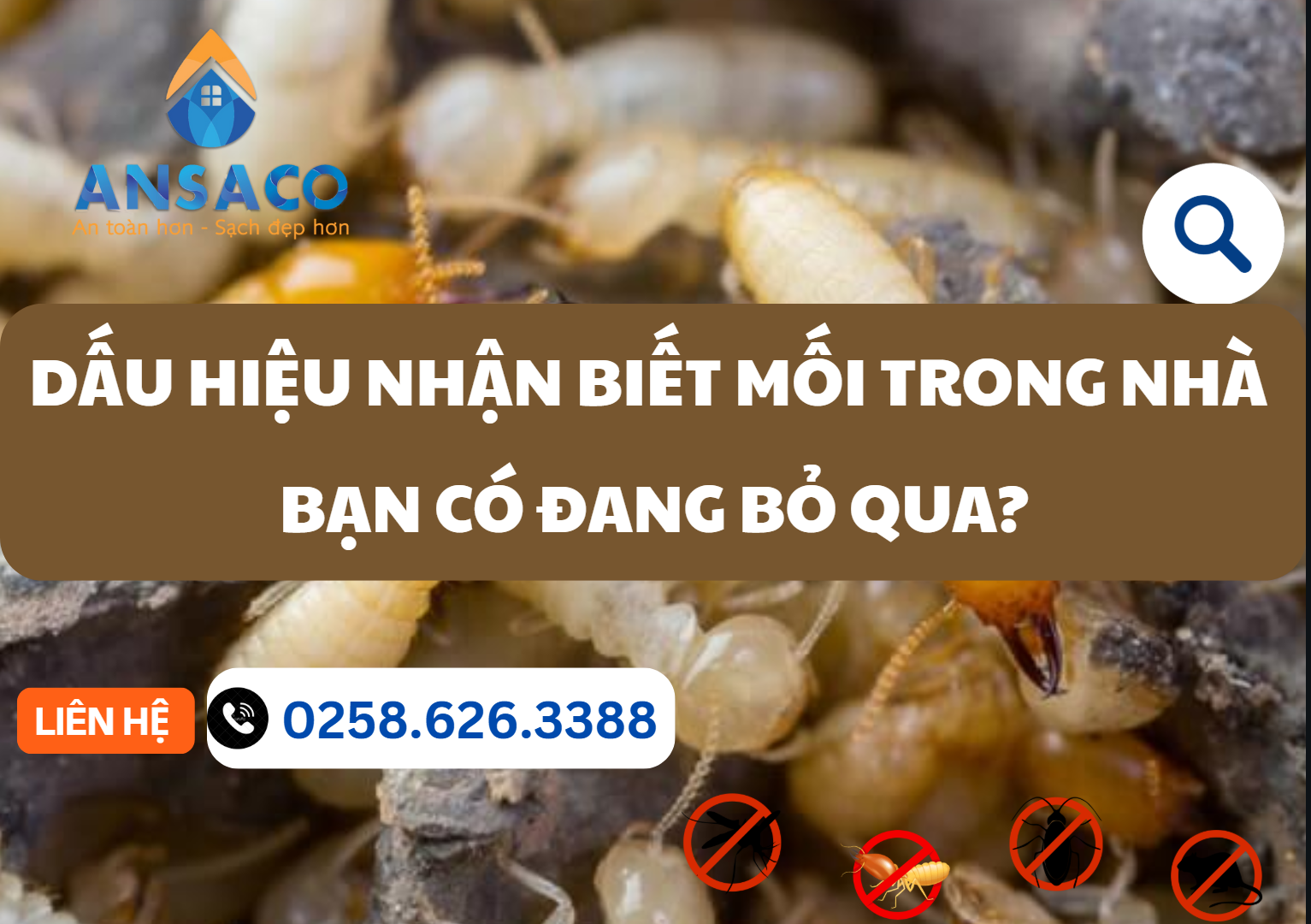 Dấu hiệu nhận biết mối trong nhà – Bạn có đang bỏ qua? 1 DẤU HIỆU NHẬN BIẾT MỐI TRONG NHÀ – BẠN CÓ ĐANG BỎ QUA?