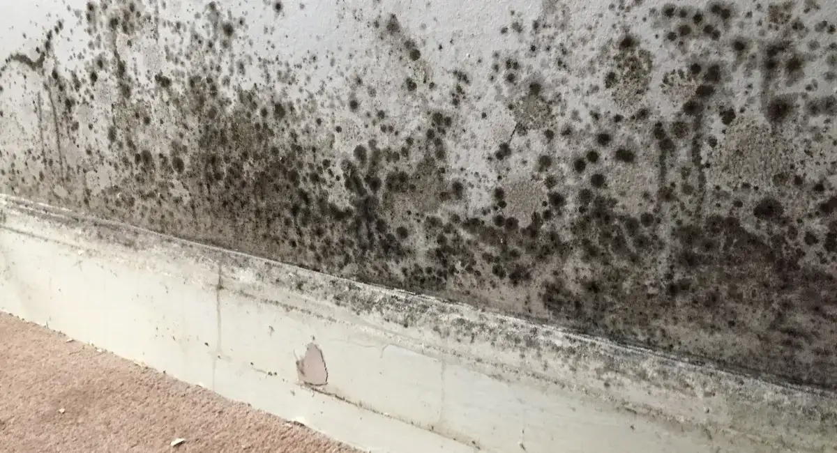 Mối lây lan nhanh hơn