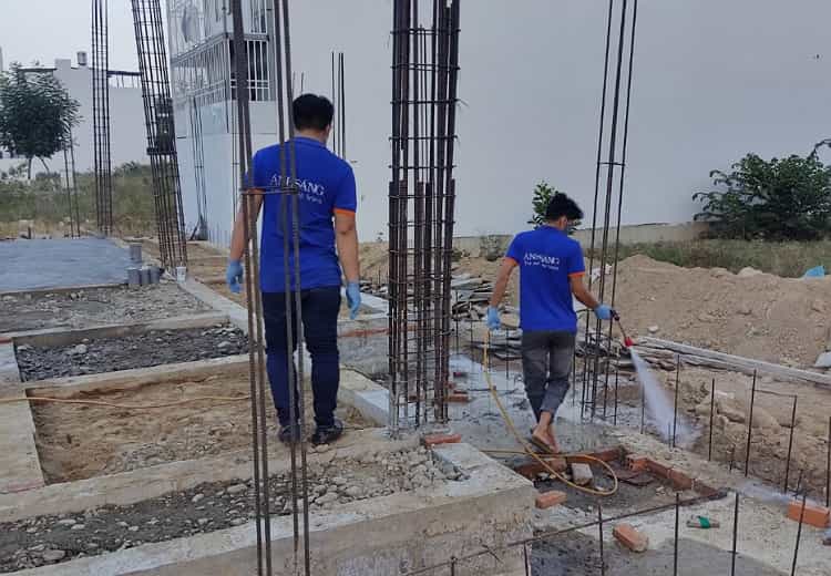 VÌ SAO MÙA MƯA MỐI LẠI SINH SÔI MẠNH? 4 Phòng mối cho công trình xây dựng