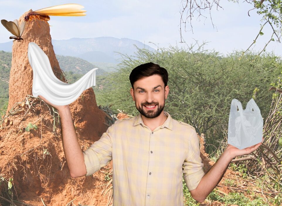 MỐI CÁNH VÀO MÙA MƯA – NHỮNG CÁCH NGĂN NGỪA VÀ DIỆT HIỆU QUẢ 8 Sử dụng màn vải