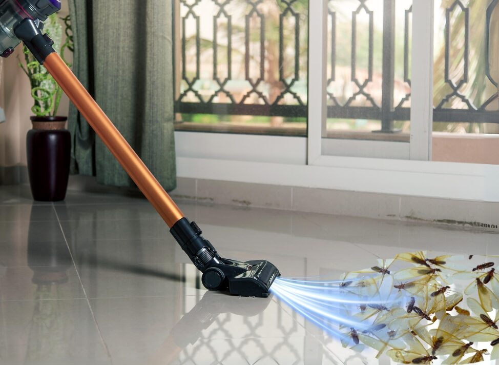 MỐI CÁNH VÀO MÙA MƯA – NHỮNG CÁCH NGĂN NGỪA VÀ DIỆT HIỆU QUẢ 6 Sử dụng máy hút bụi