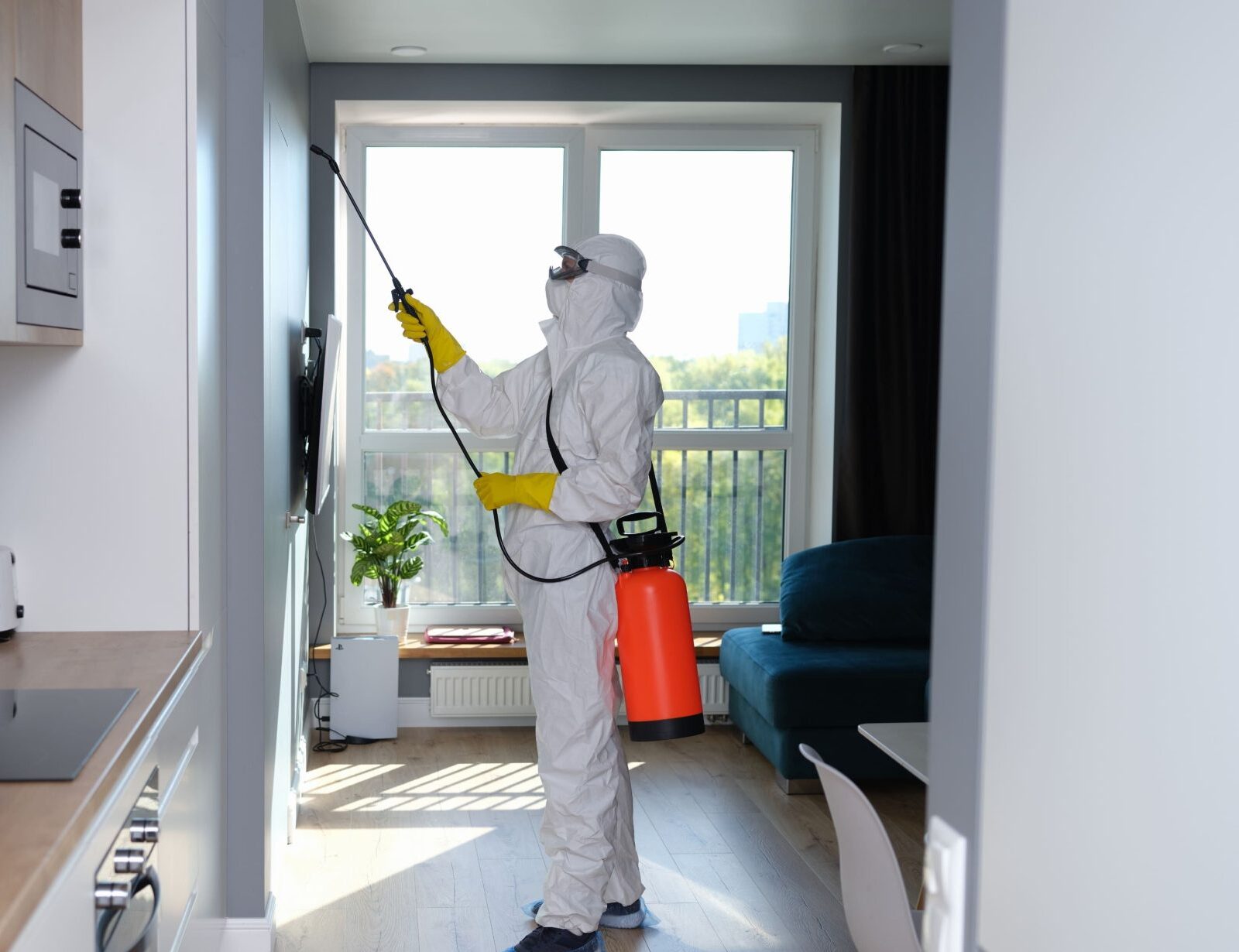 DIỆT MỐI CÓ ẢNH HƯỞNG ĐẾN SỨC KHỎE KHÔNG? 2 Rải thuốc bột diệt mối vào hộp nhử