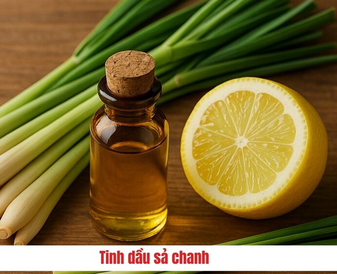 MỐI CÓ SỢ MÙI GÌ NHẤT? 1 Tinh dầu sả chanh
