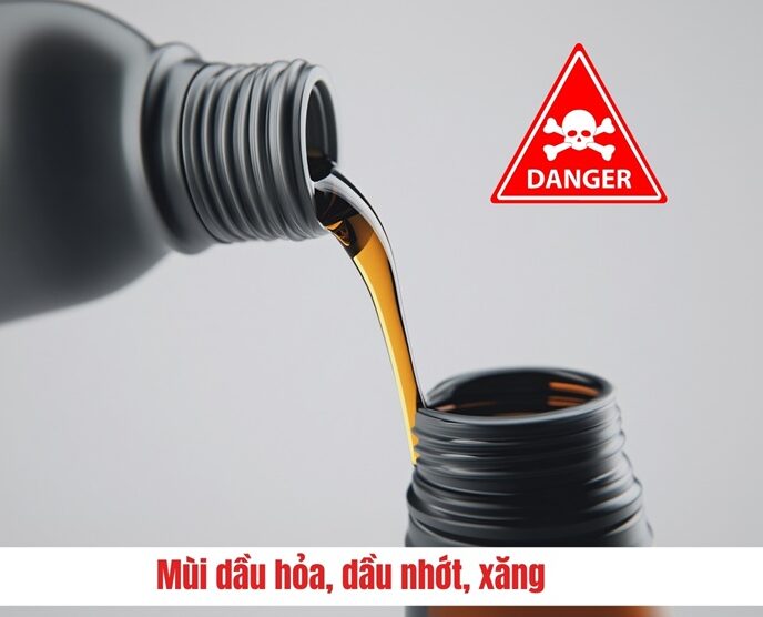 MỐI CÓ SỢ MÙI GÌ NHẤT? 4 Mùi dầu hỏa