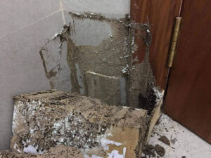 22171558 760409880808858 1712184904 o