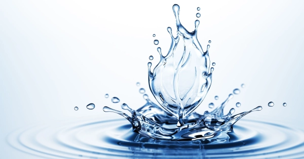 Mối có cần nước không