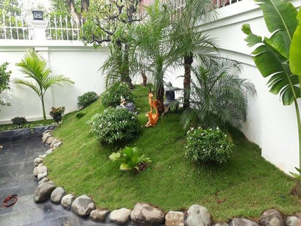 Sân vườn thường là môi trường lý tưởng cho mối