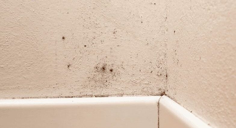 cach xu ly phong ngu am moc 1 e1775546114692