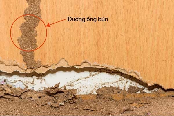 duong ong bun 20 dd7dbd1d20e34764bbb4e860d455529d grande