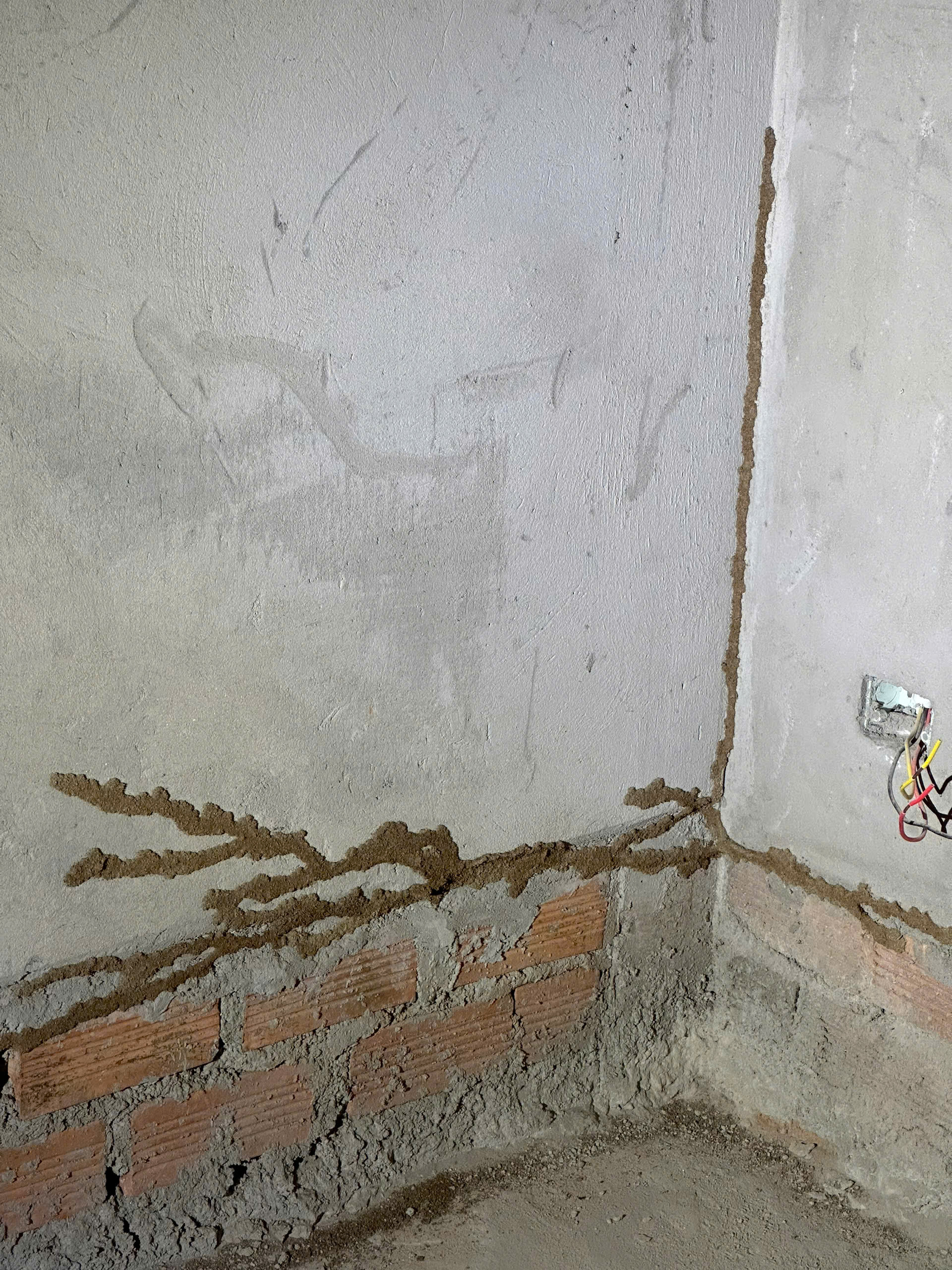 VÌ SAO CÓ NHÀ THẤY MỐI TRÊN TẦNG 2 NHƯNG KHÔNG THẤY MỐI Ở TẦNG 1? 1 1783919961293 3549935344691105683 3549935344691105683 a667e27f85e8a29ccb7eabb59957ed47